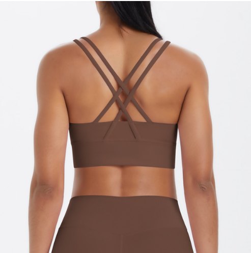 7113Bra back view