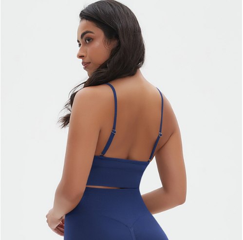 6666 Bra back view
