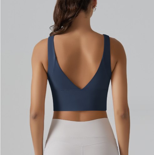 7017Bra back view