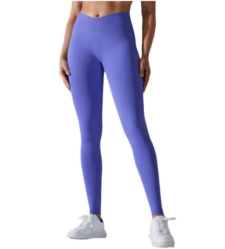 Crossed Waistleggings (Seamless) yoga and activewear product, front view