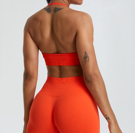 MS1103 back view
