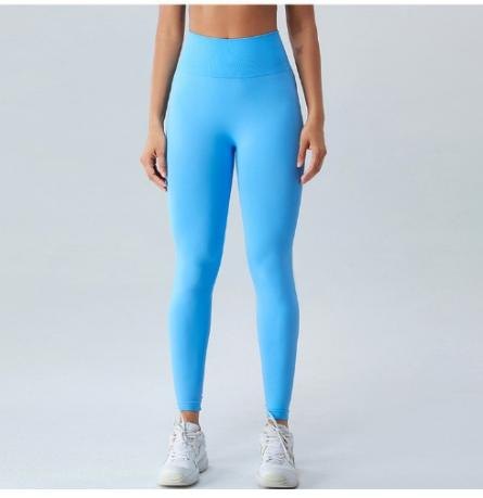 Yoga Leggings (Seamless) yoga and activewear product, front view