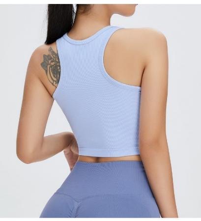 MS1017 back view